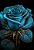 Quadro decorativo - Flor rosa azul - Imagem 2