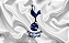 Quadro decorativo - Tottenham Hotspur F.C. brasão - Imagem 2