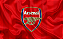 Quadro decorativo - Arsenal Football Club brasão - Imagem 2