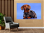 Quadro decorativo - Cachorro salsicha detetive - Imagem 4