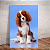 Quadro decorativo - Cachorro Cavalier sentado - Imagem 1