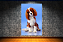 Quadro decorativo - Cachorro Cavalier sentado - Imagem 4