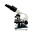 Microscópio Binocular 1600X NW116B + Câmera 5mp - Imagem 4