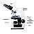 Microscópio Binocular Olen + Caixa Porta 50 Lâminas + 200 Lâminas - Imagem 7