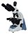Microscópio Trinocular Global Ótica Finita Acromático Led Aumento 1.000x + Câmera de 2.0MP - Imagem 6