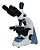 Microscópio Trinocular Global Ótica Finita Acromático Led Aumento 1.000x + Câmera de 5.0MP - Imagem 3