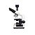 Microscópio Trinocular Planacromático Aumento 1.600x + Câmera de 5,0 Mega Pixels - Imagem 5