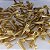 Microtubo 0,38ml Dourado - 1000 Unidades - Imagem 2