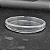 Placa de Petri em Vidro Tamanho: 90x15mm - Imagem 4