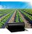 Cobertura de Solo Mulching Preto 1,80m x 500m - Imagem 3