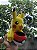 Estátua Pokémon Pikachu Vaso. - Imagem 2
