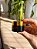 Pote de Vidro para creme 15ml - Imagem 1