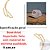 BONE ARIAT IMPORT. A3000824319 BEGE LOGO VINHO - Imagem 2