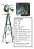 CATAVENTO 3154 VALLEY - Imagem 10