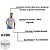 CAMISETA AUSTIN WESTERN CINZA - Imagem 4