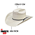 CHAPEU RESISTOL PALHA 20X USTRC BIG MONEY - Imagem 4