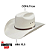 CHAPEU RESISTOL PALHA 20X METCALF - Imagem 7