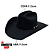 CHAPEU RESISTOL FELTRO 6X USTRC BLACK - Imagem 4