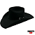 CHAPEU RESISTOL FELTRO 20X BLACK GOLD - Imagem 3