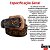 CINTO 16118 MASTER WESTERN - Imagem 4
