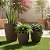 Kit 3 Vasos para Plantas em Polietileno Redondo Diamantado P, M e G | Decorativo Leve e Resistente - Imagem 2