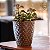 Vaso de Polietileno Diamante para Plantas Pequeno - Imagem 1