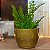 Vaso para Plantas em Polietileno Redondo Bojo Liso P - Imagem 1