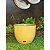 Vaso para Plantas em Polietileno Redondo Bojo Liso P - Imagem 16