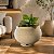 Vaso Decorativo Esfera para Plantas em Polietileno P com Prato Leve e Resistente - Imagem 1