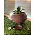 Vaso polietileno esfera para plantas  P com prato - Imagem 6