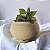 Vaso polietileno esfera para plantas  P com prato - Imagem 3
