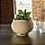 Vaso polietileno esfera para plantas  P com prato - Imagem 1