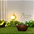 Vaso para plantas em polietileno bacia lisa mini premium com prato - Imagem 1