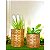 Kit com 2 Vasos para plantas cachepot bambu 30x30 e 30x40 - Imagem 1