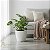 Vaso Para Decoração e Plantas Polietileno Diamante PP COM PRATO COLETOR - Imagem 2