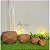 kit 4 vasos para plantas em polietileno esfera diamante PP, P, M e G - Imagem 8