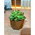 kit vaso fibra de vidro diamante n1 com planta artificial suculenta marrom (4079) - Imagem 3