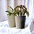 kit com 2 vasos para plantas polietileno redondo diamante M e G com prato coletor - Imagem 2