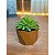 kit vaso fibra de vidro diamante n1 com planta artificial suculenta verde (3418) - Imagem 8