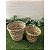 Kit com 2 Vaso de Planta Cimbidio P e M - Imagem 1
