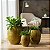 Kit 3 vasos para plantas em polietileno Oval liso P, M e G, ideal para decoração de sala, escritórios, área externa - Imagem 17