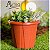 Vaso para plantas redondo balde P estilo fibra de vidro - Imagem 1