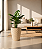 Vaso para decoração e plantas - polietileno diamante P COM PRATO COLETOR, resistente, luxo e moderno para sala - Imagem 13
