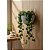 Kit com 4 Vasos de Parede Gancho 12cm com plantas flores decorativo interno e externo em Polietileno - Imagem 2