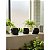 Kit 3 Vasinhos Carinhas Decorativos em Polímero Reforçado – Decoração Moderna para Sala e Escritório - Imagem 2