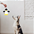 Pinguim Mini Bco e Preto - Imagem 4