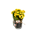 Kalandiva no vaso de vidro- cores variadas - Imagem 1
