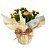 Kalanchoe PT 15 embalado - Imagem 1