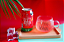 REFRIGERANTE DE MELANCIA SFC BIO - 350ML - Imagem 2