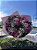 Buquê Duo Rosê com 24 rosas. - Imagem 1